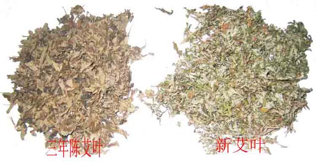 艾灸療法,艾草泡腳,艾草艾葉