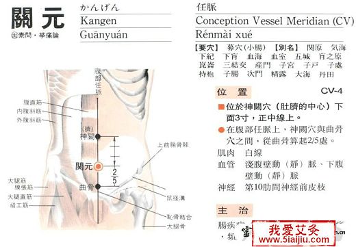 五種肥胖的中醫艾灸減肥新方法【附圖文】